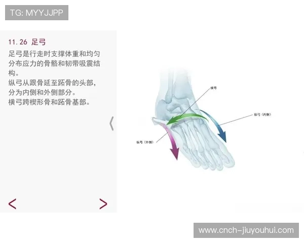 以足球袜保护脚踝小腿及足部安全为核心探究其在运动防护中的重要作用